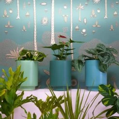 Jungalow Kiwi Green Kaya Vase By Justina Blakeney™ -Jungalow greenplanters