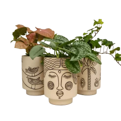 Jungalow Agatha Kaya Face Vase By Justina Blakeney™ -Jungalow groupplanters